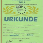Urkunde280811Walsrode 1