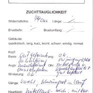 Zuchttauglichkeit_Zora_Seite_1