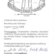 Zuchttauglichkeit_Zora_Seite_2