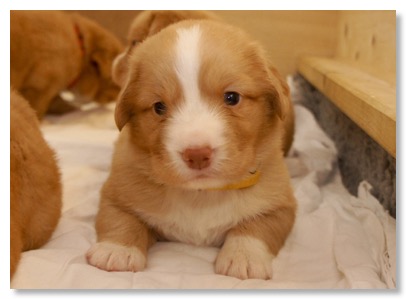 17E9CB86-80F9-49AE-A741-46322B12DDC6_1_105_c