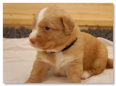 2093F717-B878-4009-A649-25A266F688D8_1_105_c